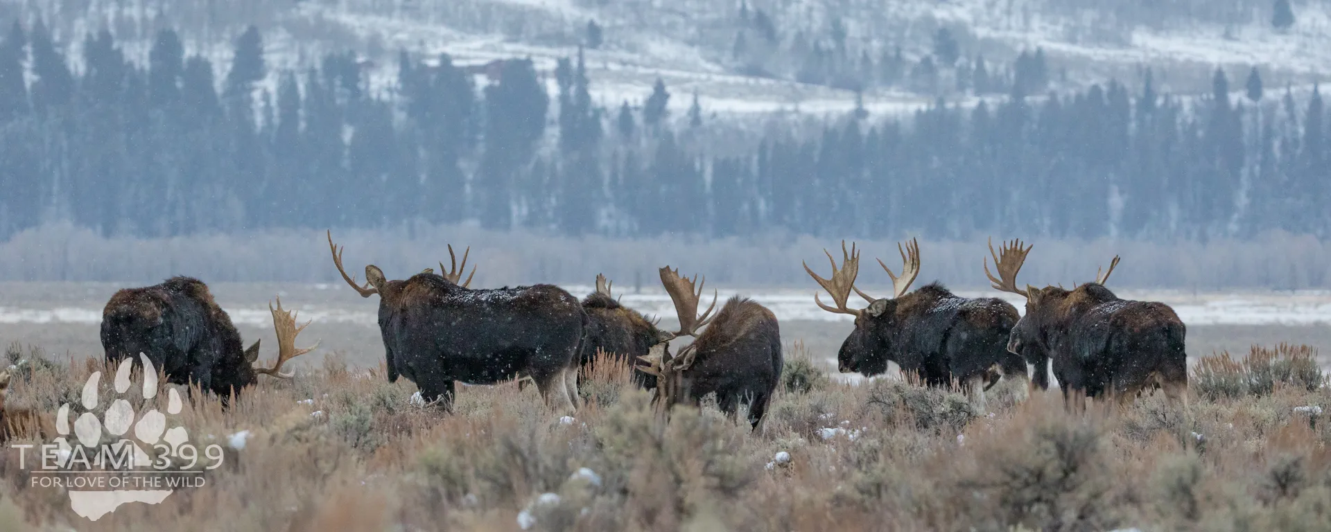 Grand Teton Early Winter 2027