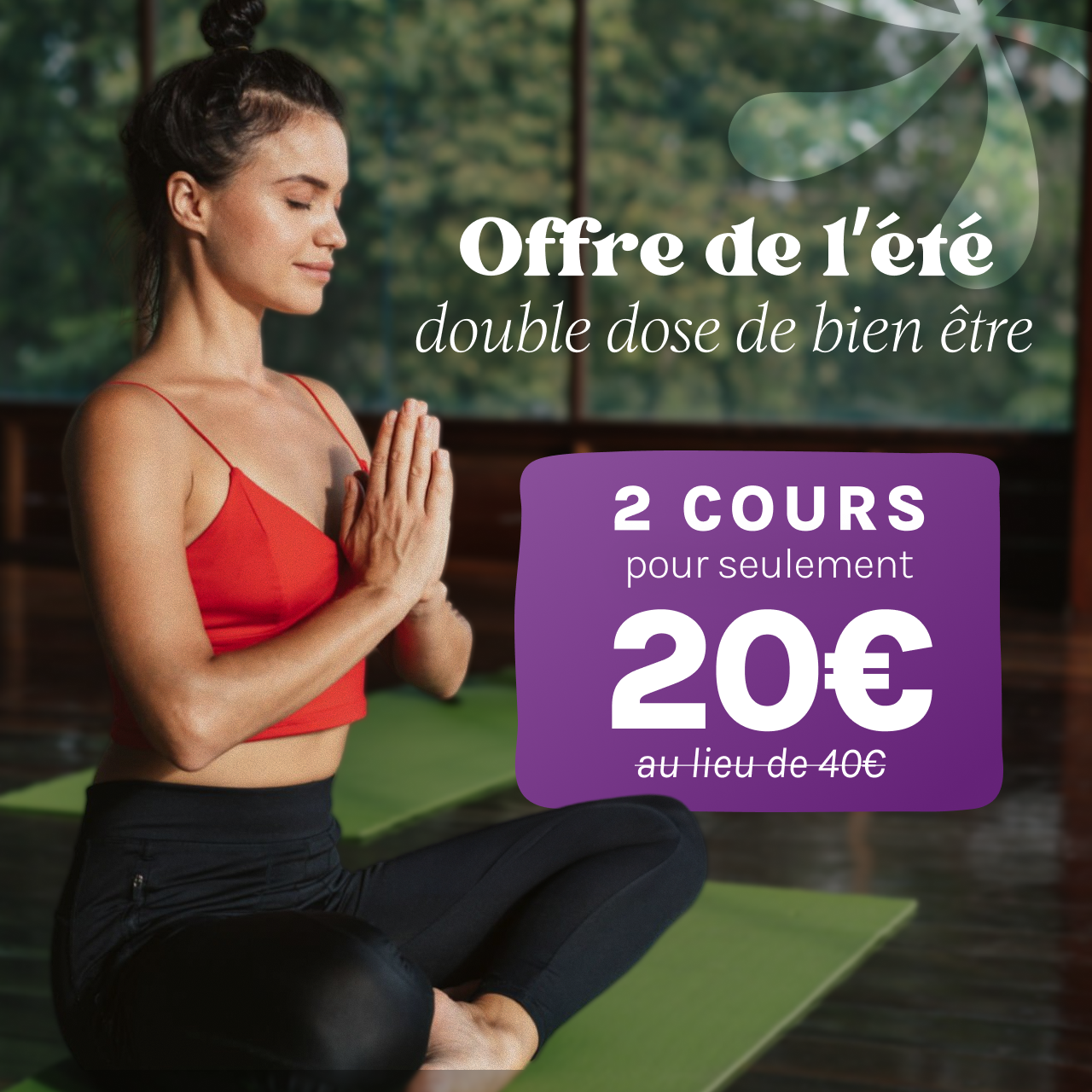 Visuel de l'offre 2 cours pour 20 euros