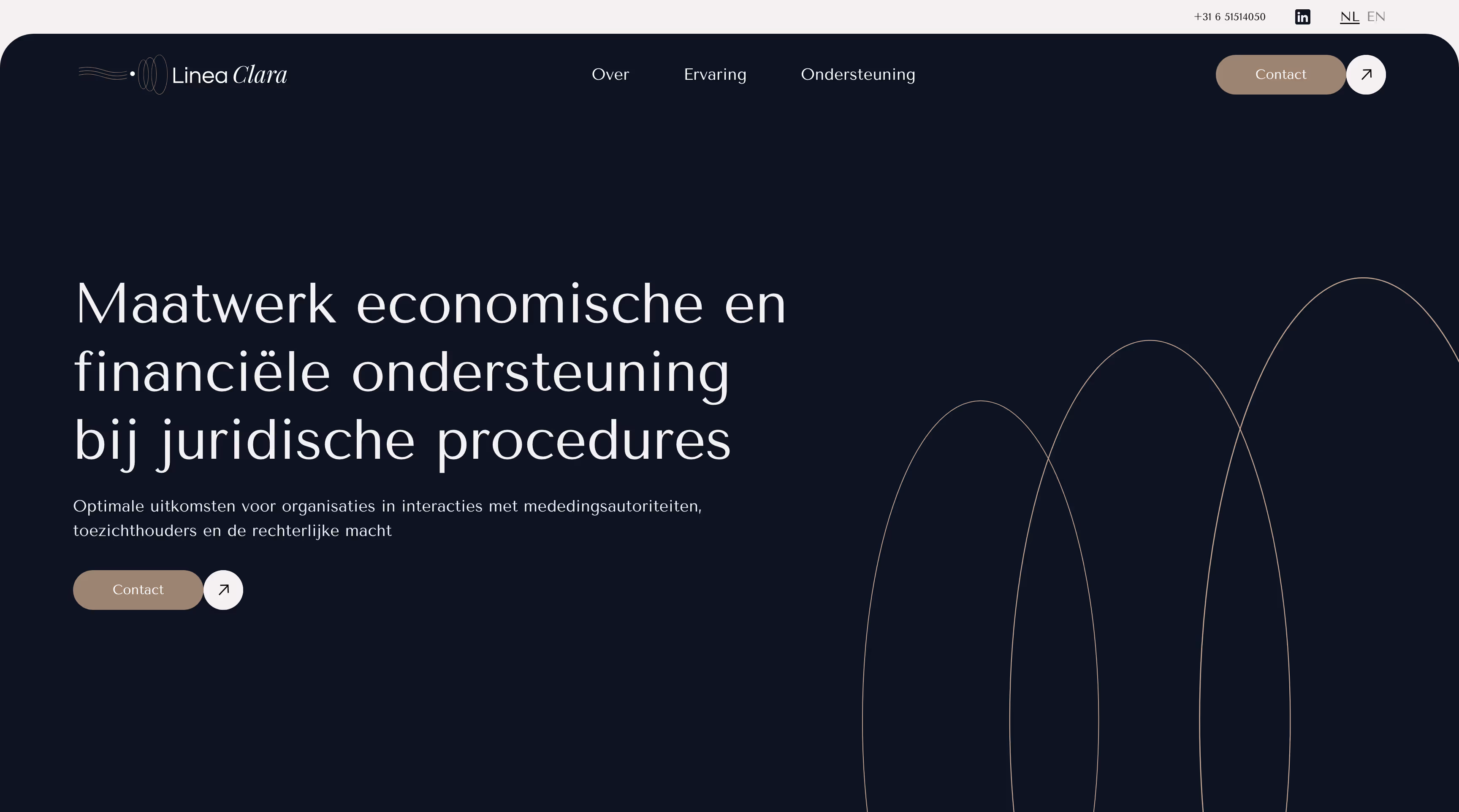Website homepage with Dutch text about tailored economic and financial support for legal procedures.