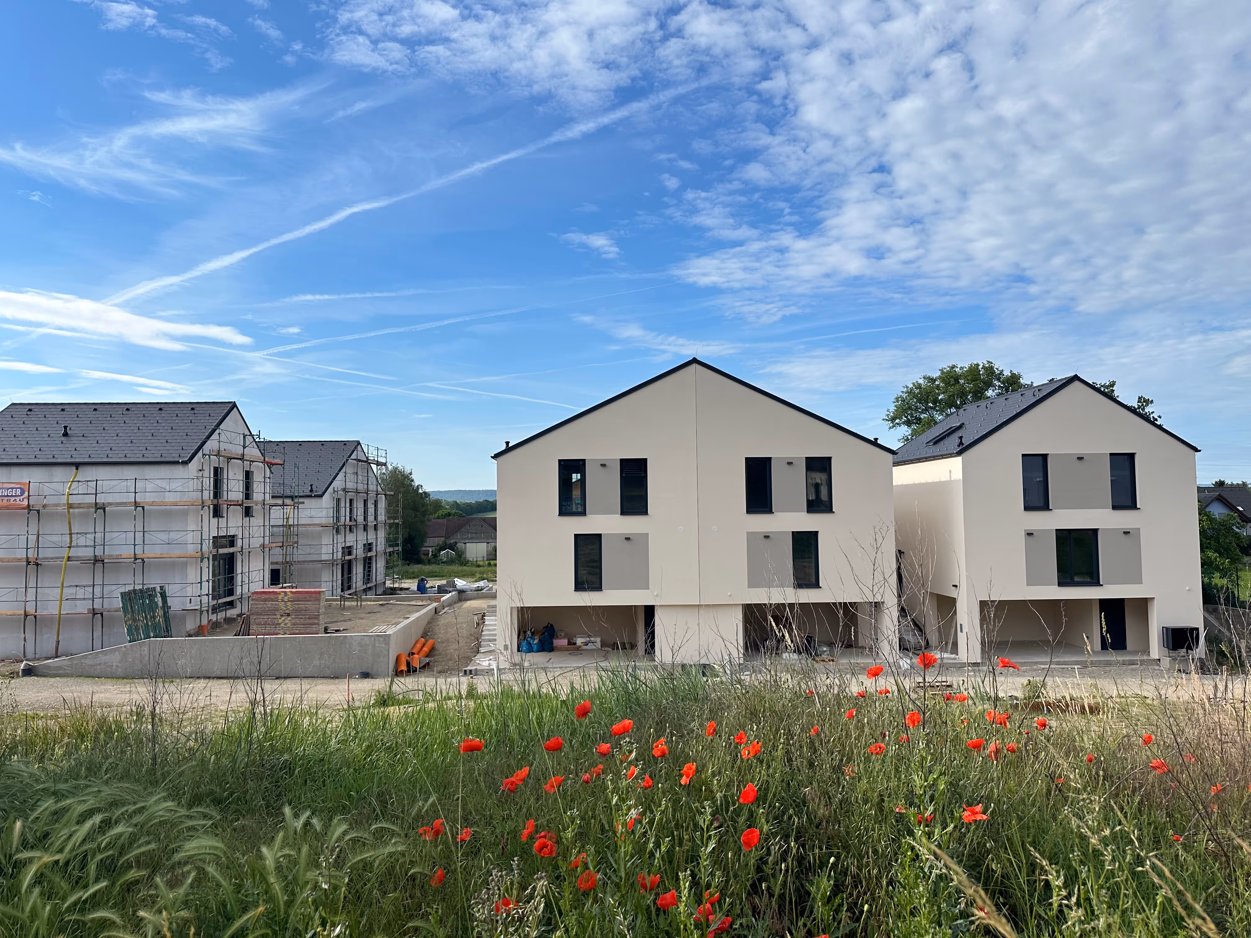 Foto: Wohnhäuser in Tresdorf im Bau mit rotem Mohn im Vordergrund