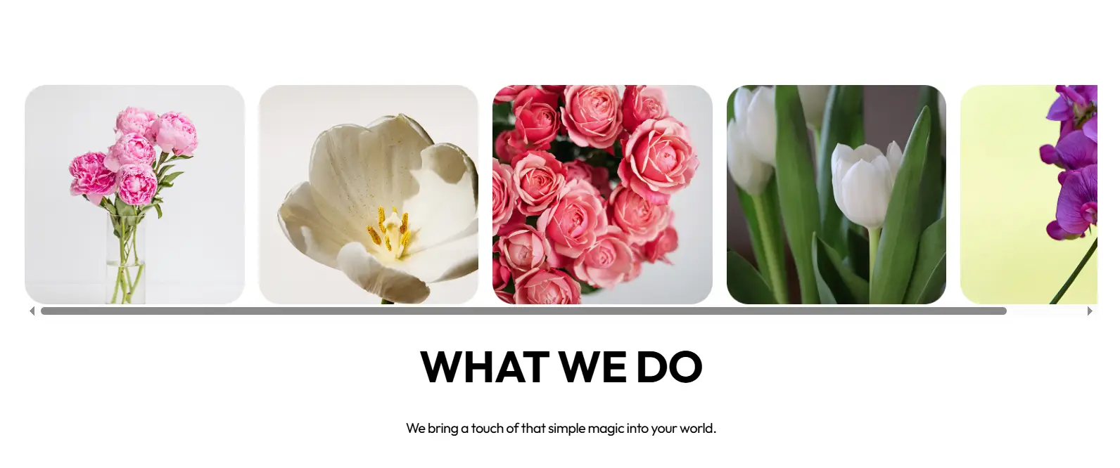 Horizontal image slider with rounded product cards displaying flower photos and consistent spacing.