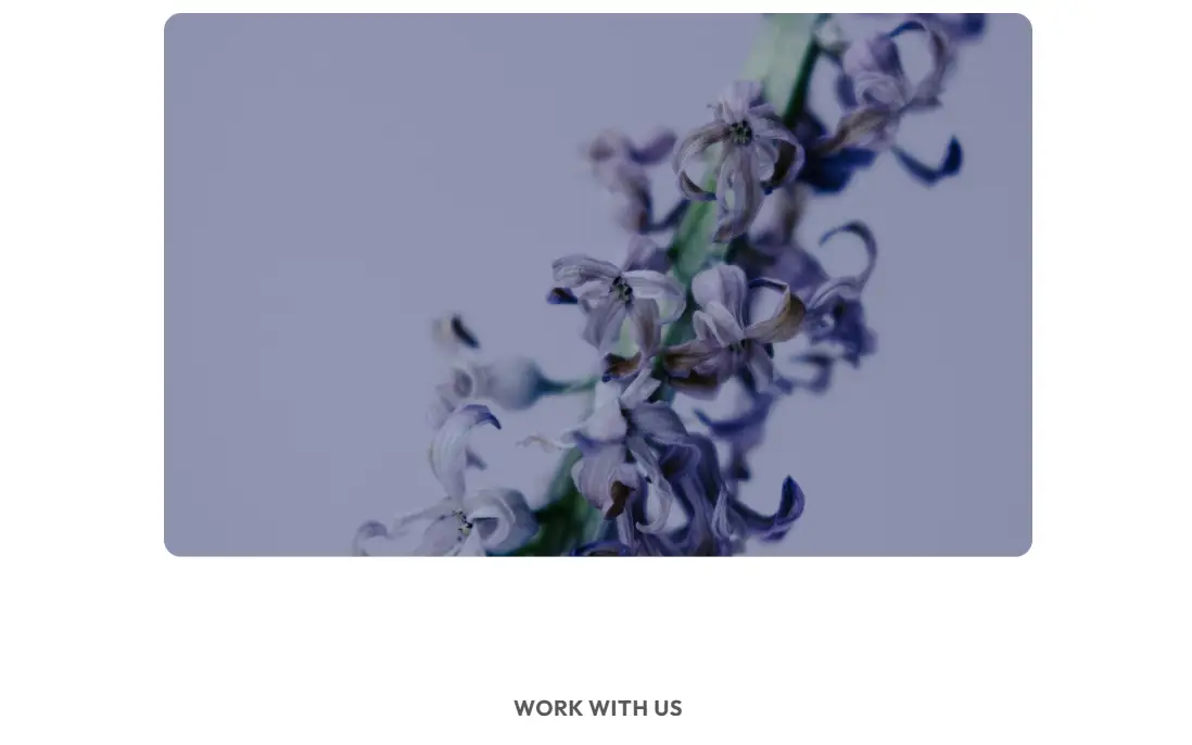 Supporting project visual (3 of 3) showing layout and design.