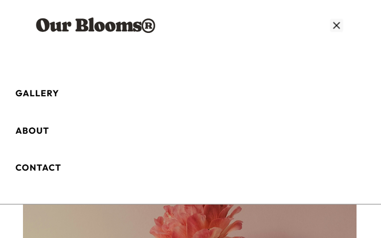 Mobile navigation menu with full-screen overlay and simple list of links (gallery, about, contact).