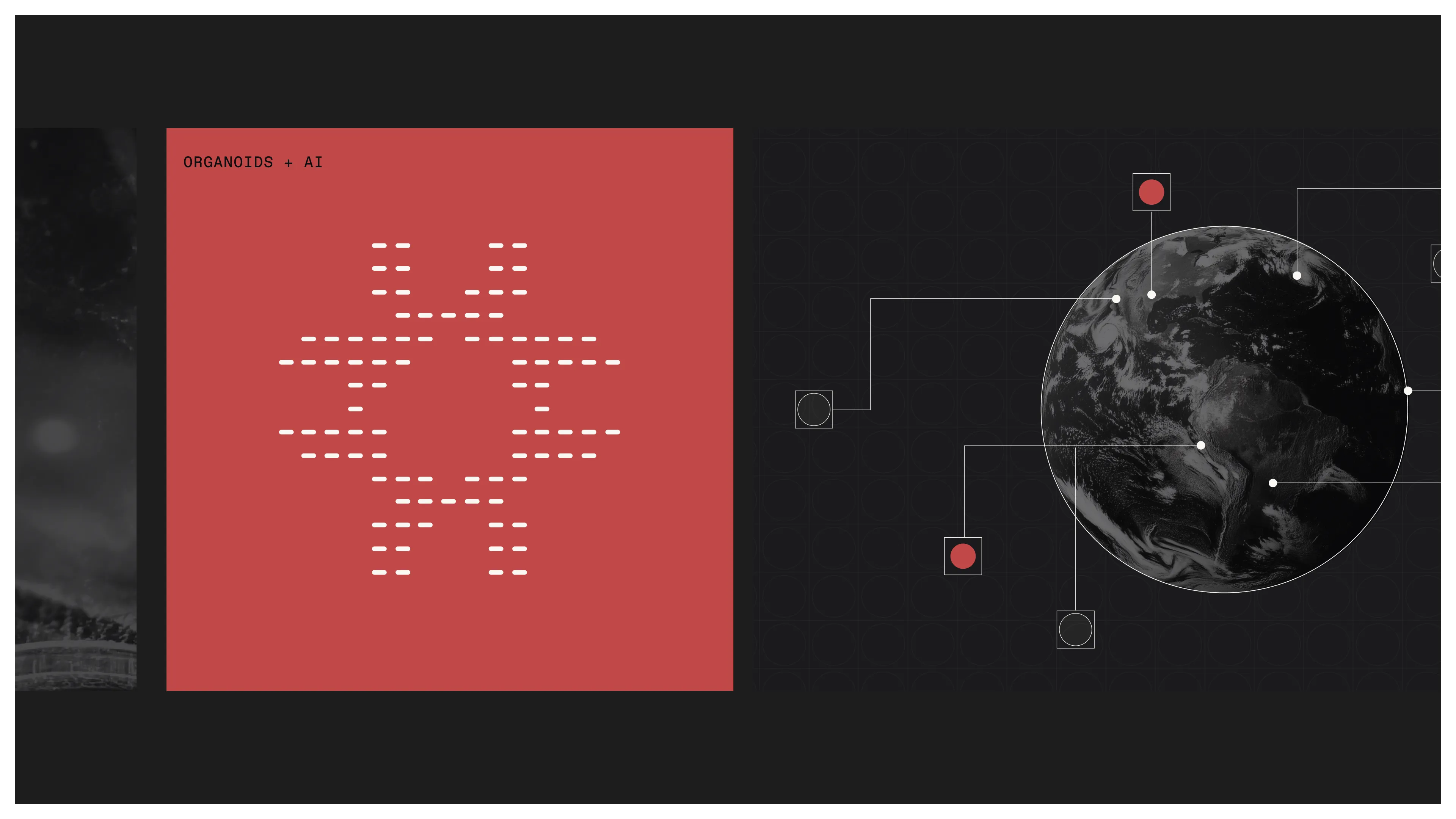 Parallel Bio transition slide with repeated pattern and dark background.