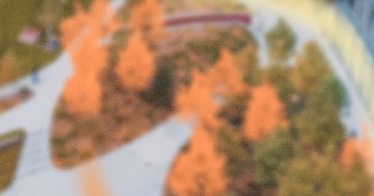 Digitalisierung der Rechtsabteilung