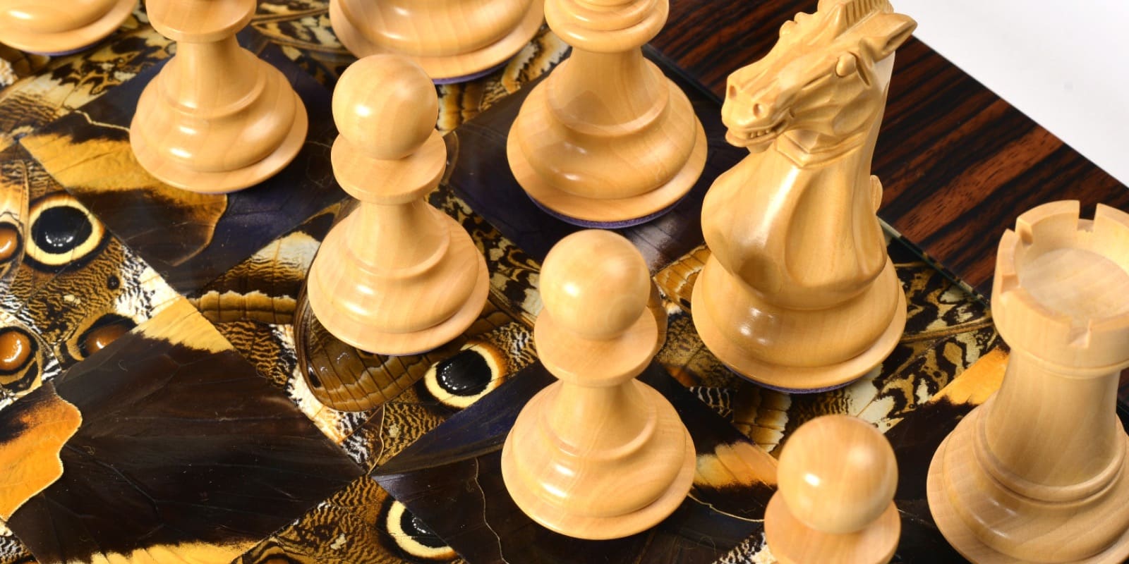 Noctua Chess Set