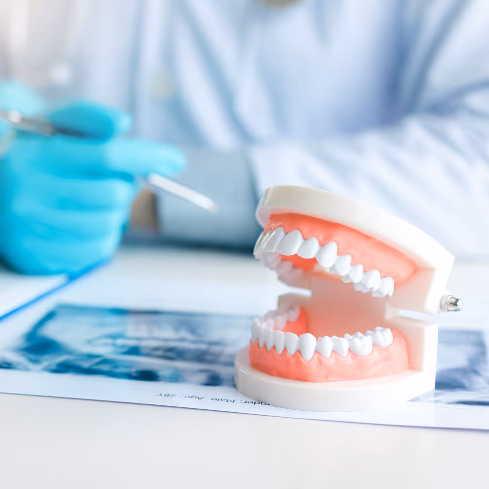 Full and partial dentures displayed to show natural-looking tooth replacement options