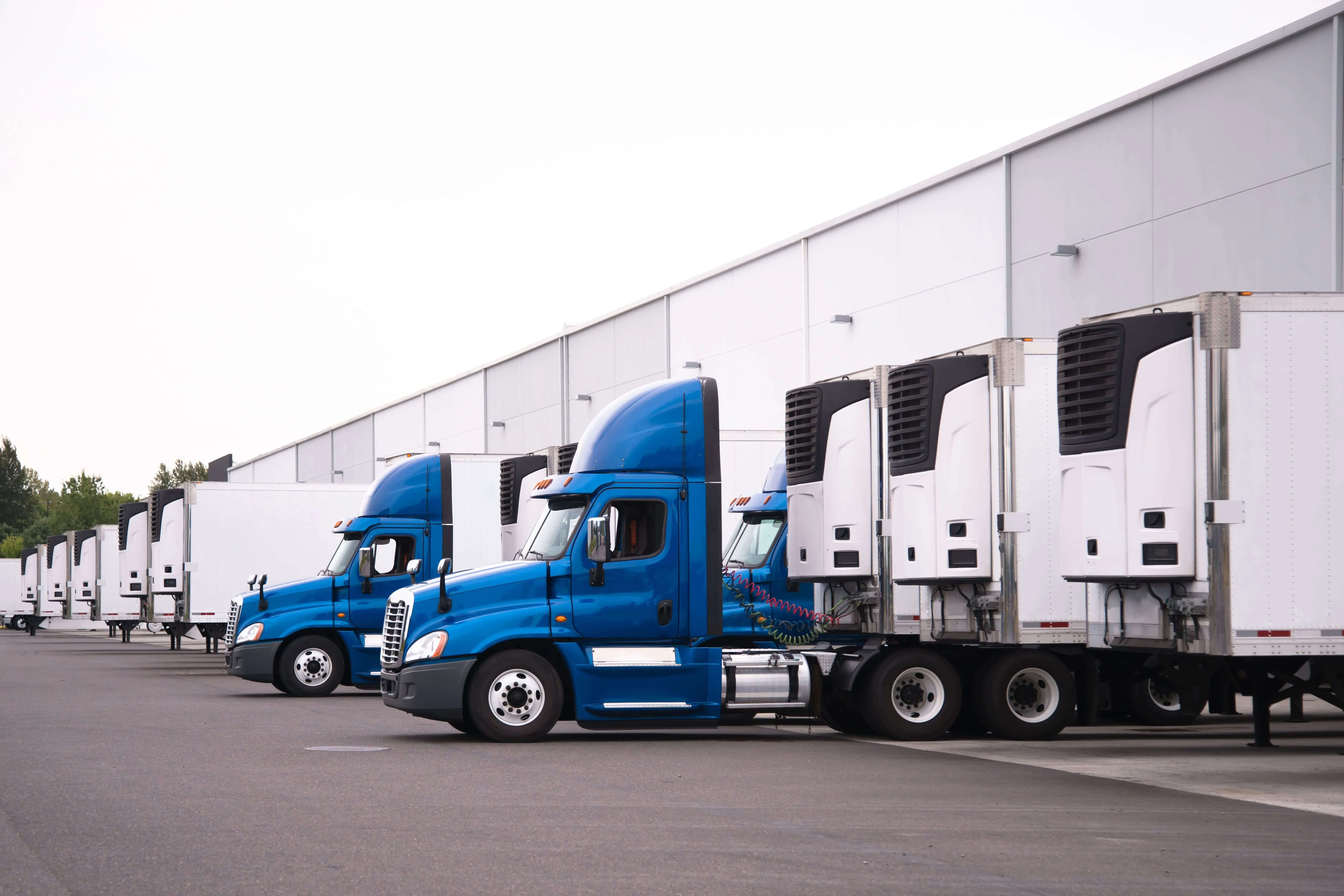 Trailers at a distribution center dock