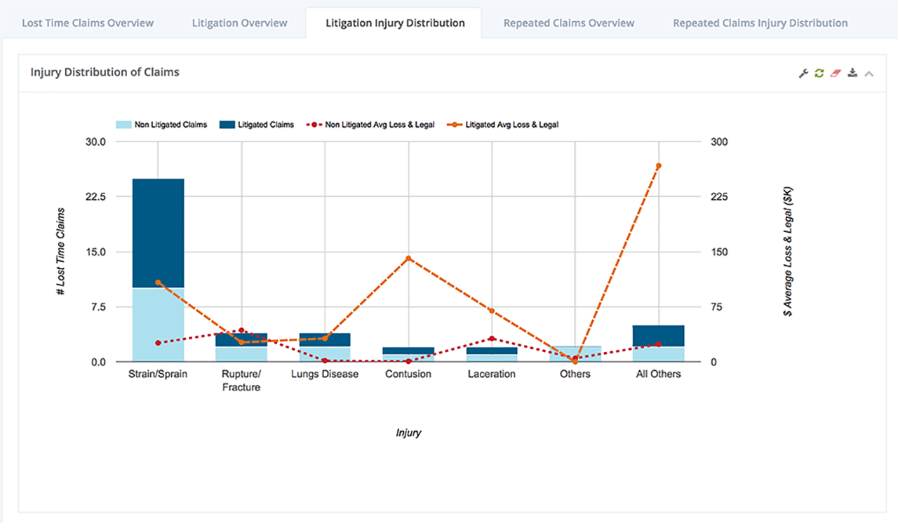 Bar and line chart showing injury distribution of claims by injury type with lost time claims and average loss and legal costs.