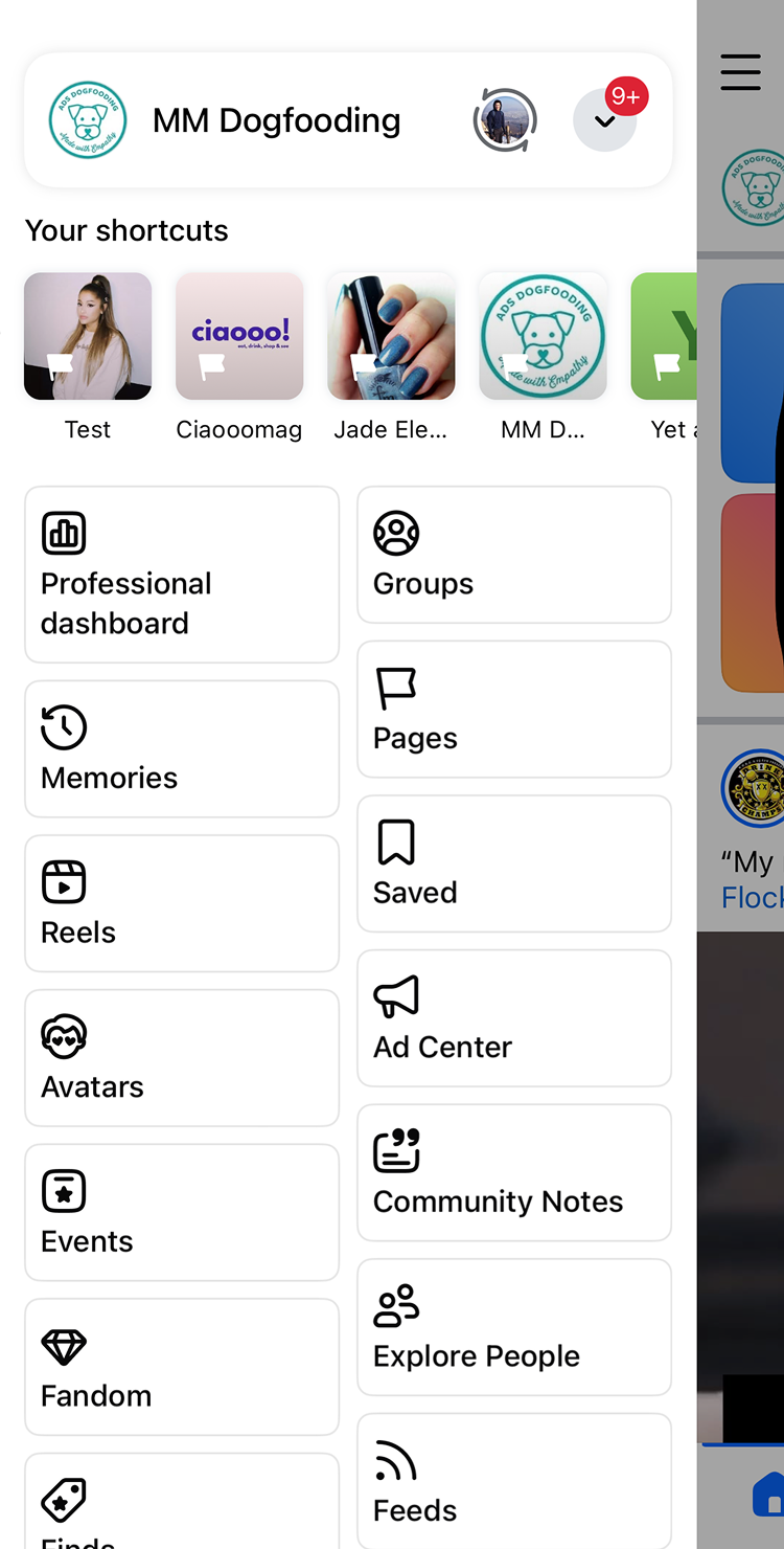 Sidebar menu of a social media app showing profile 'MM Dogfooding', notification badge with 9+ alerts, shortcuts including Test, Ciaooomag, Jade Ele, and MM Dogfooding, plus options like Professional dashboard, Memories, Reels, Avatars, Events, Fandom, Groups, Pages, Saved, Ad Center, Community Notes, Explore People, and Feeds.