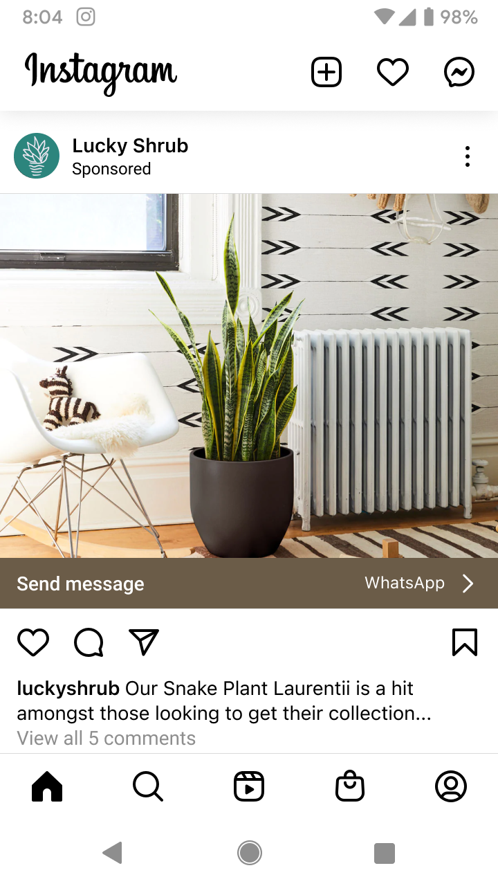 Instagram sponsored post by Lucky Shrub showing a Snake Plant Laurentii in a black pot next to a white chair with a striped stuffed zebra and a radiator under a window with arrow-patterned wallpaper.