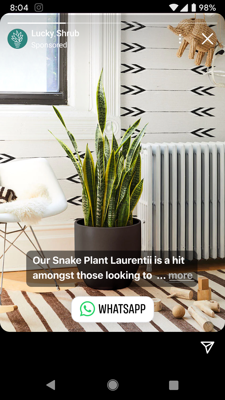 Indoor snake plant Laurentii in a dark pot placed on a striped rug next to a white chair and radiator inside a room with patterned walls.