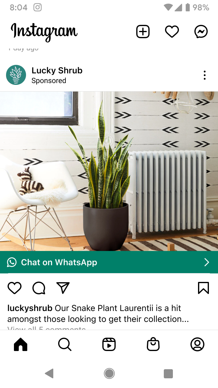 Indoor snake plant in a dark pot next to a white chair with a plush zebra toy and a white radiator against patterned wall.