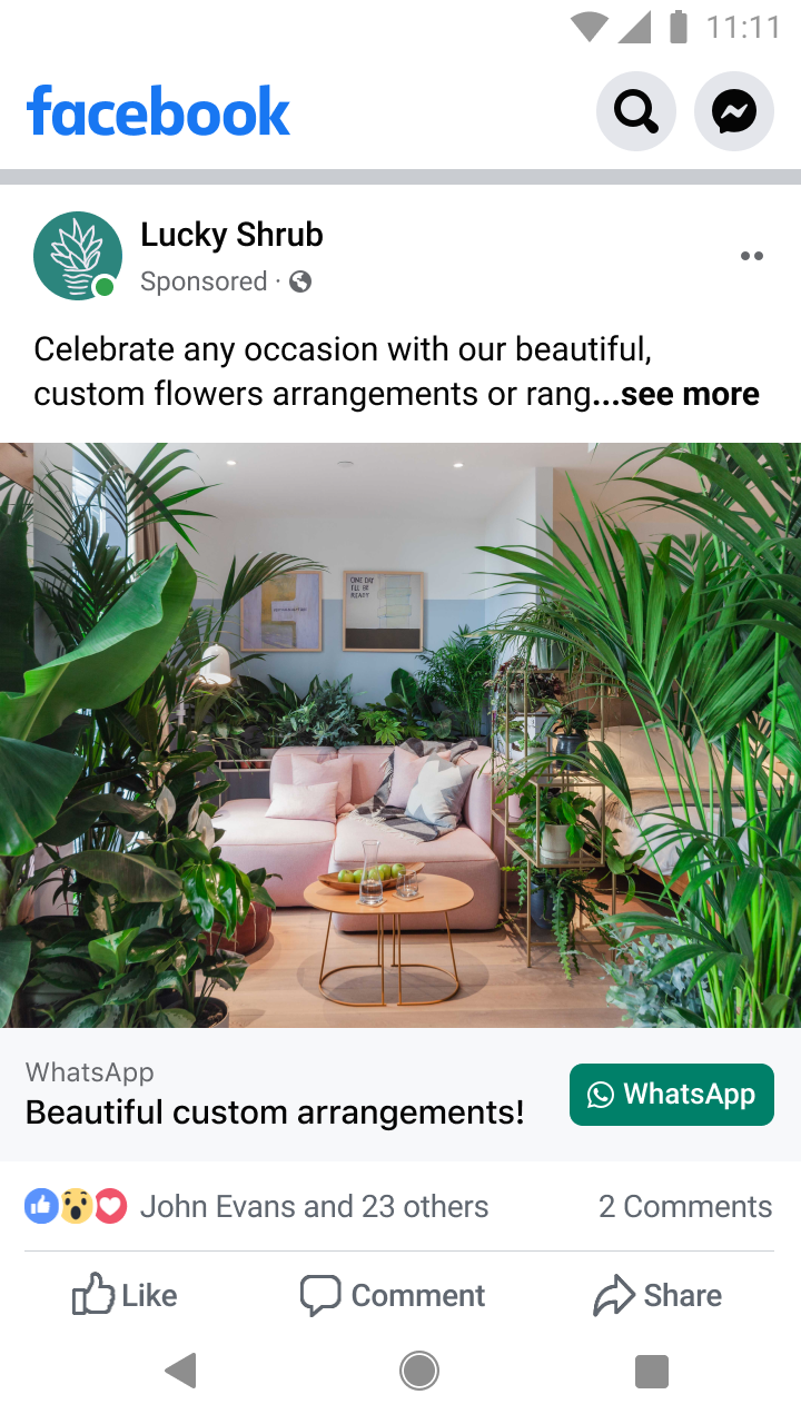 Indoor living room with a pink sofa surrounded by various lush green houseplants and a coffee table with glasses and fruit.