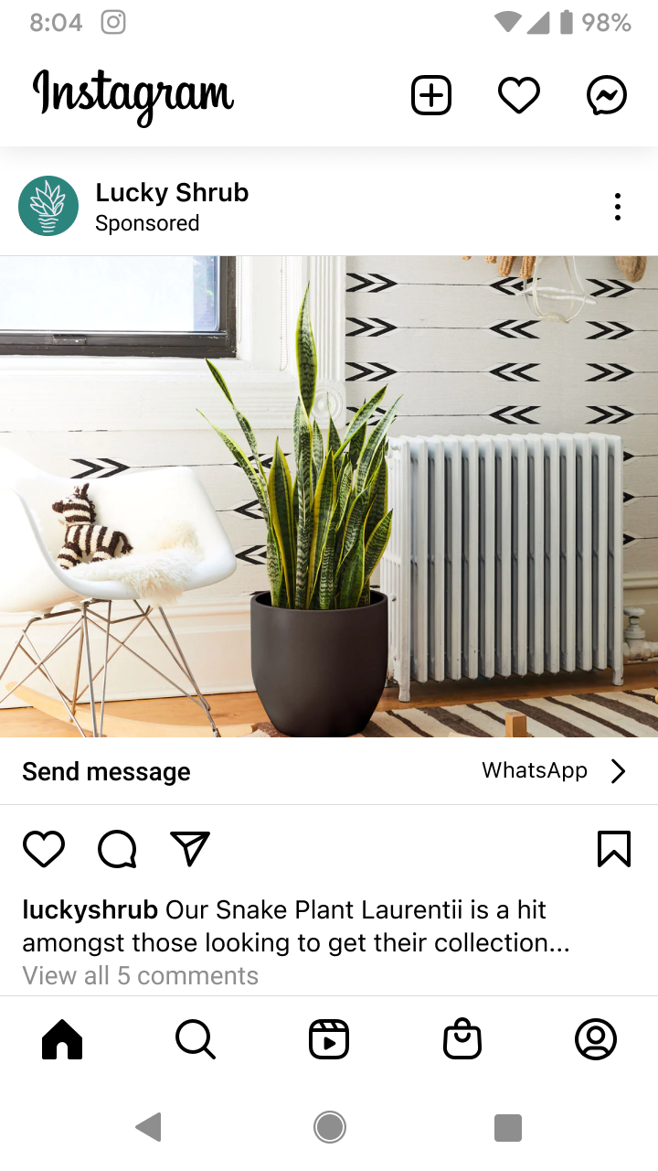 Instagram sponsored post from Lucky Shrub featuring a Snake Plant Laurentii in a black pot placed on a wooden floor next to a white chair with a zebra plush and a white radiator against arrow-patterned wall.