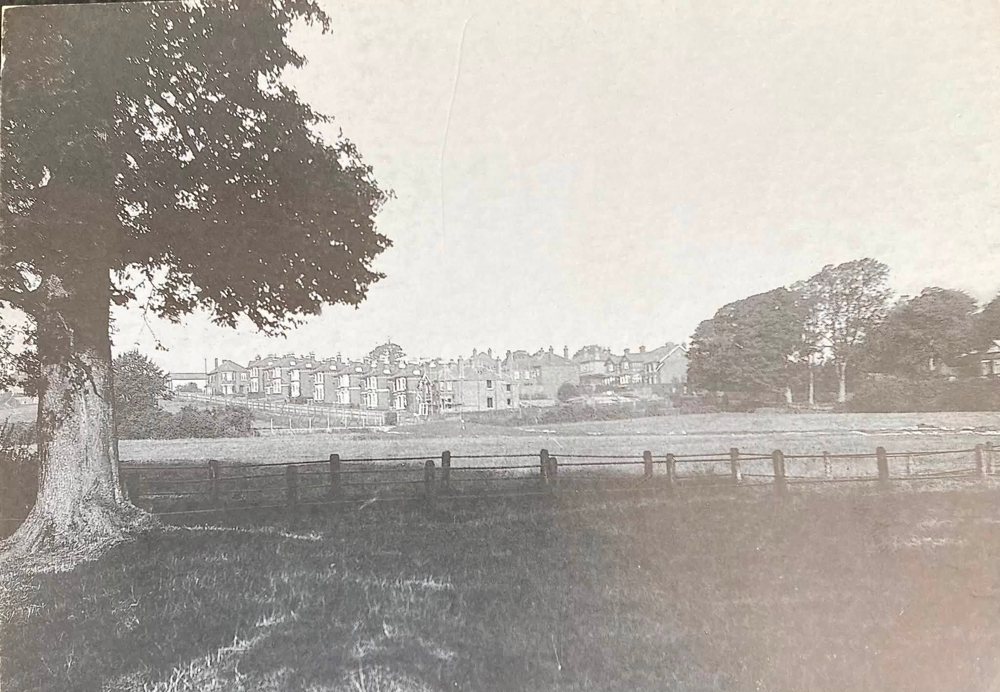 A very rare view taken in 1906 looking across Shide Path & showing the houses being erected in the top half of Cypress Road.