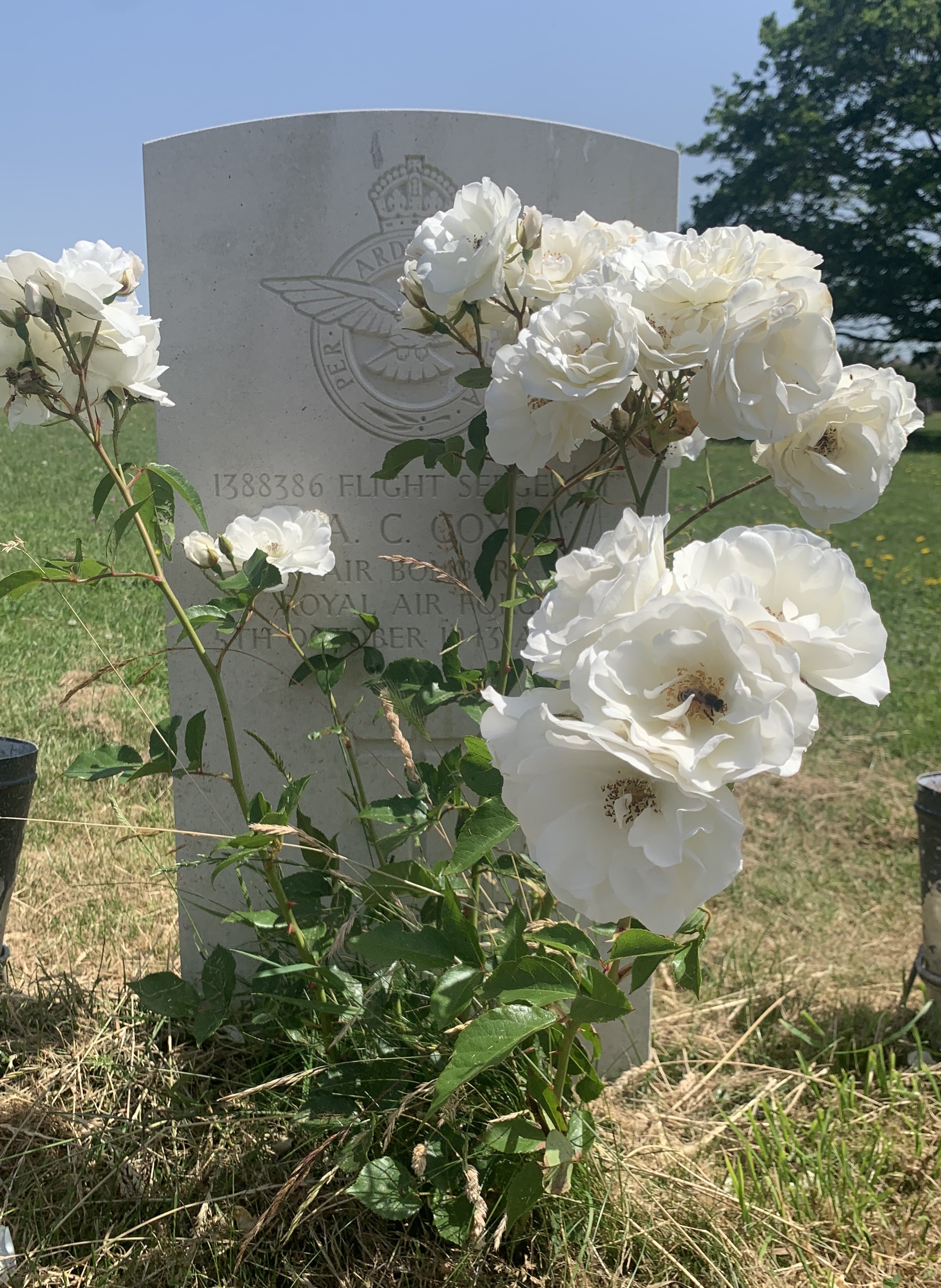 Parkhurst Military Cemetery, Isle of Wight UK