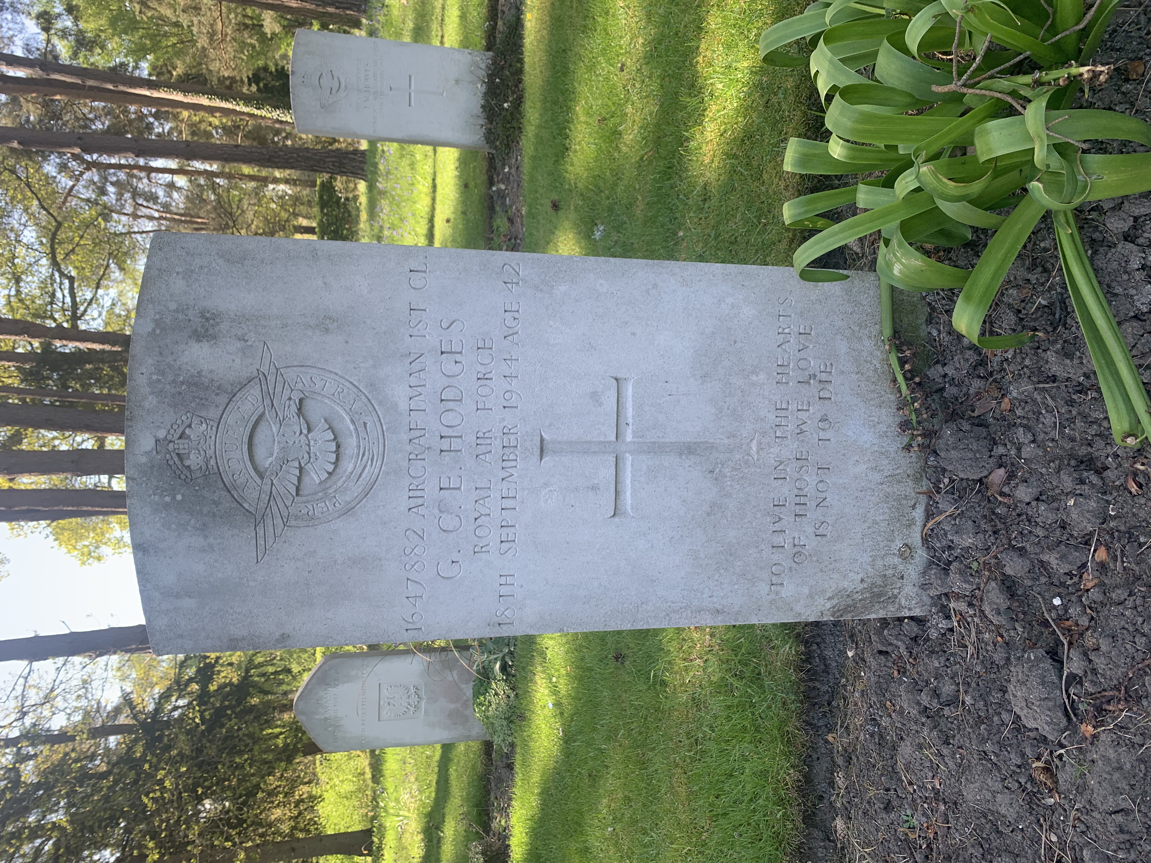 Brookwood Military Cemetery, Surrey UK