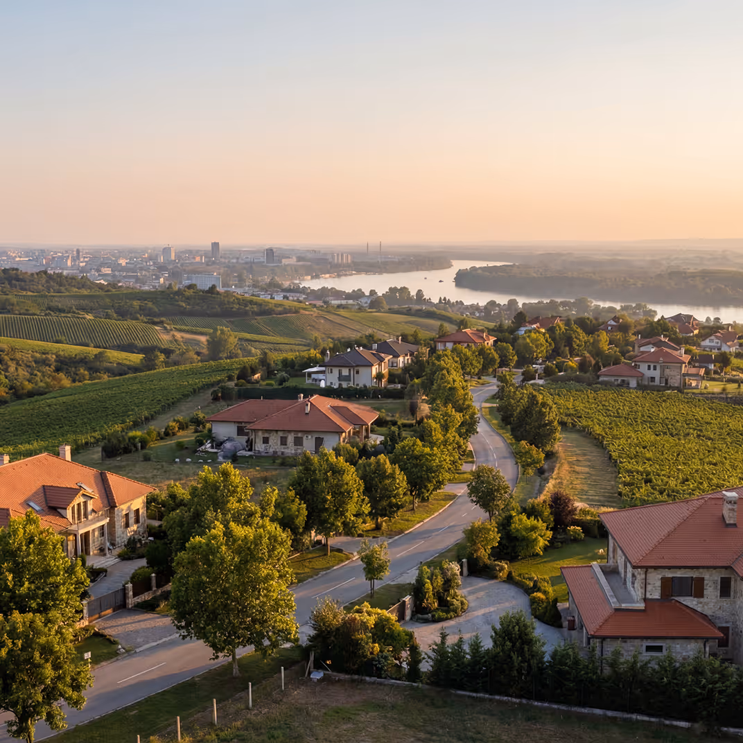 Residential landscape and greenery in Sremska Kamenica