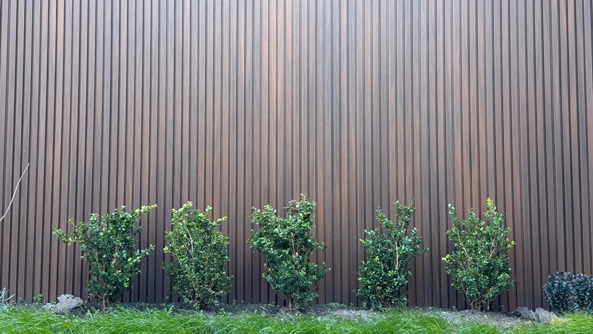 Wall Panel WPC Cedro