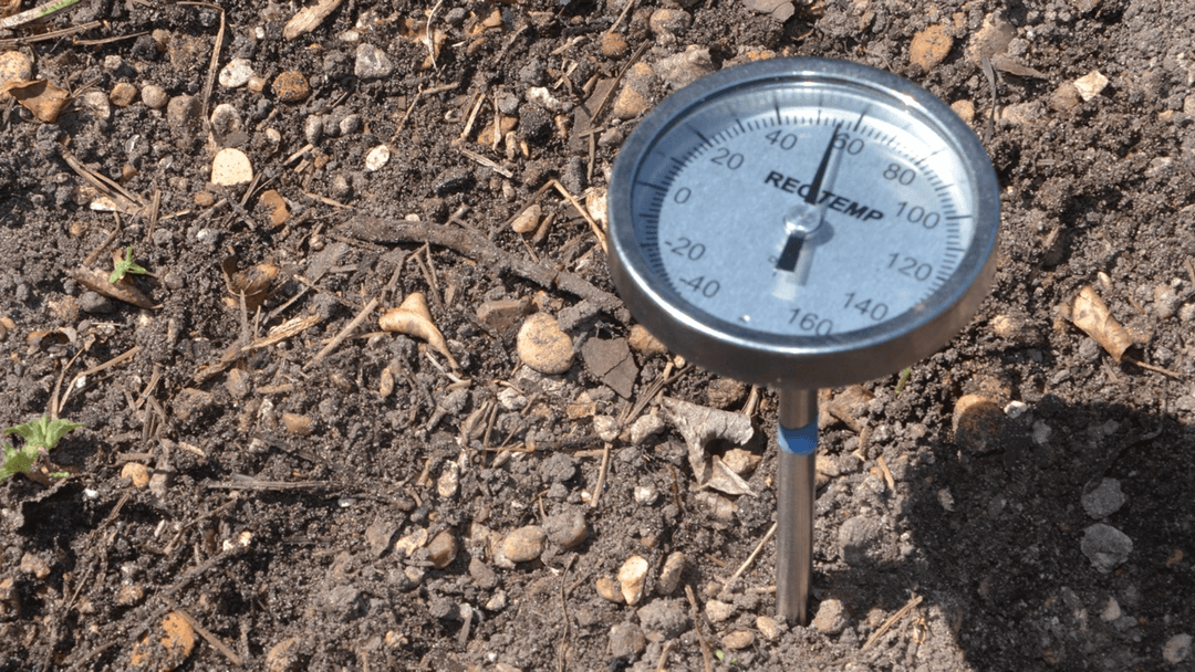 Soil temperature lawn care