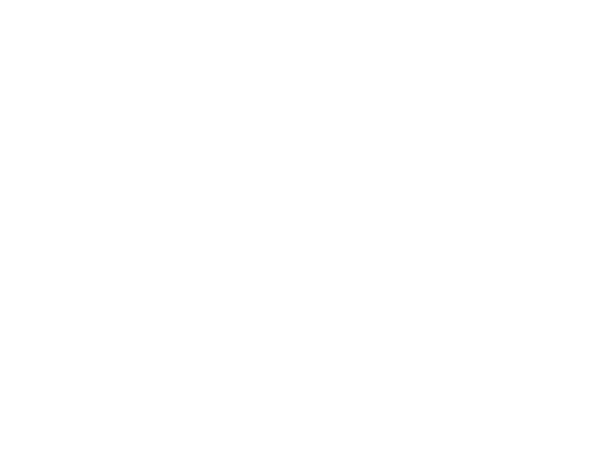 The Light in the Darkness: Director's Cut