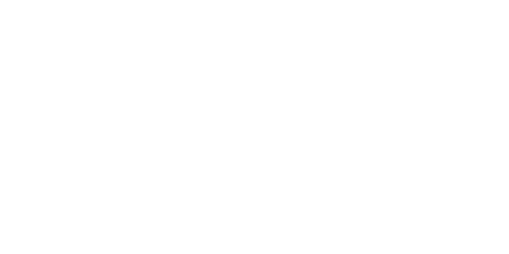 Nav Logo