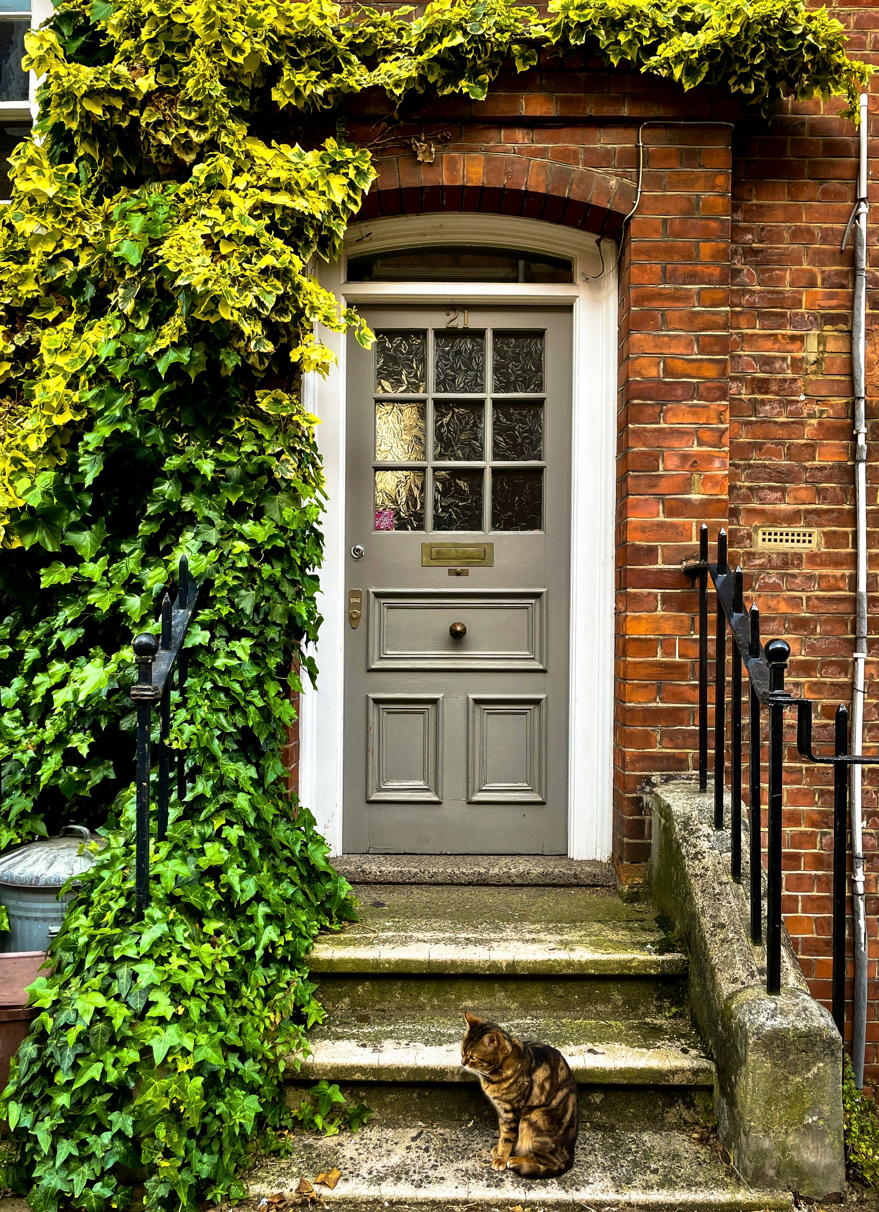 Ivy-framed front door