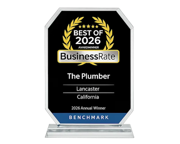 BusinessRate Best of 2026 award for The Plumber in Lancaster, California, 2026 annual winner.