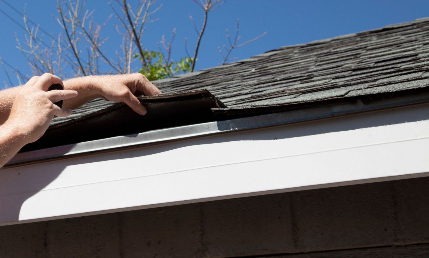 Schedule a Professional Roof Inspection 