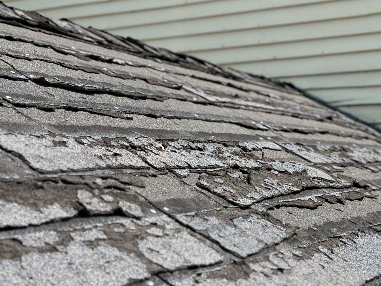 roof replacement