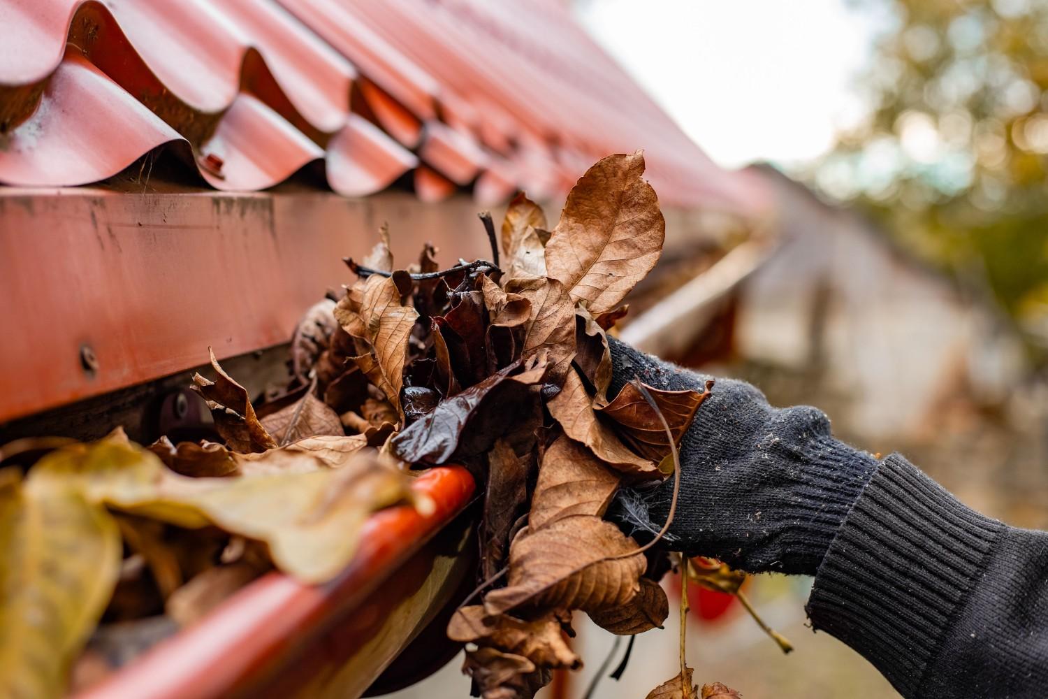 Clearing Gutters and Downspouts