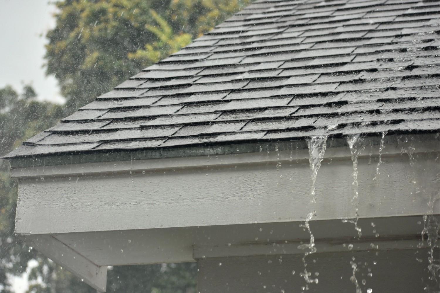 Spring Showers and Wind