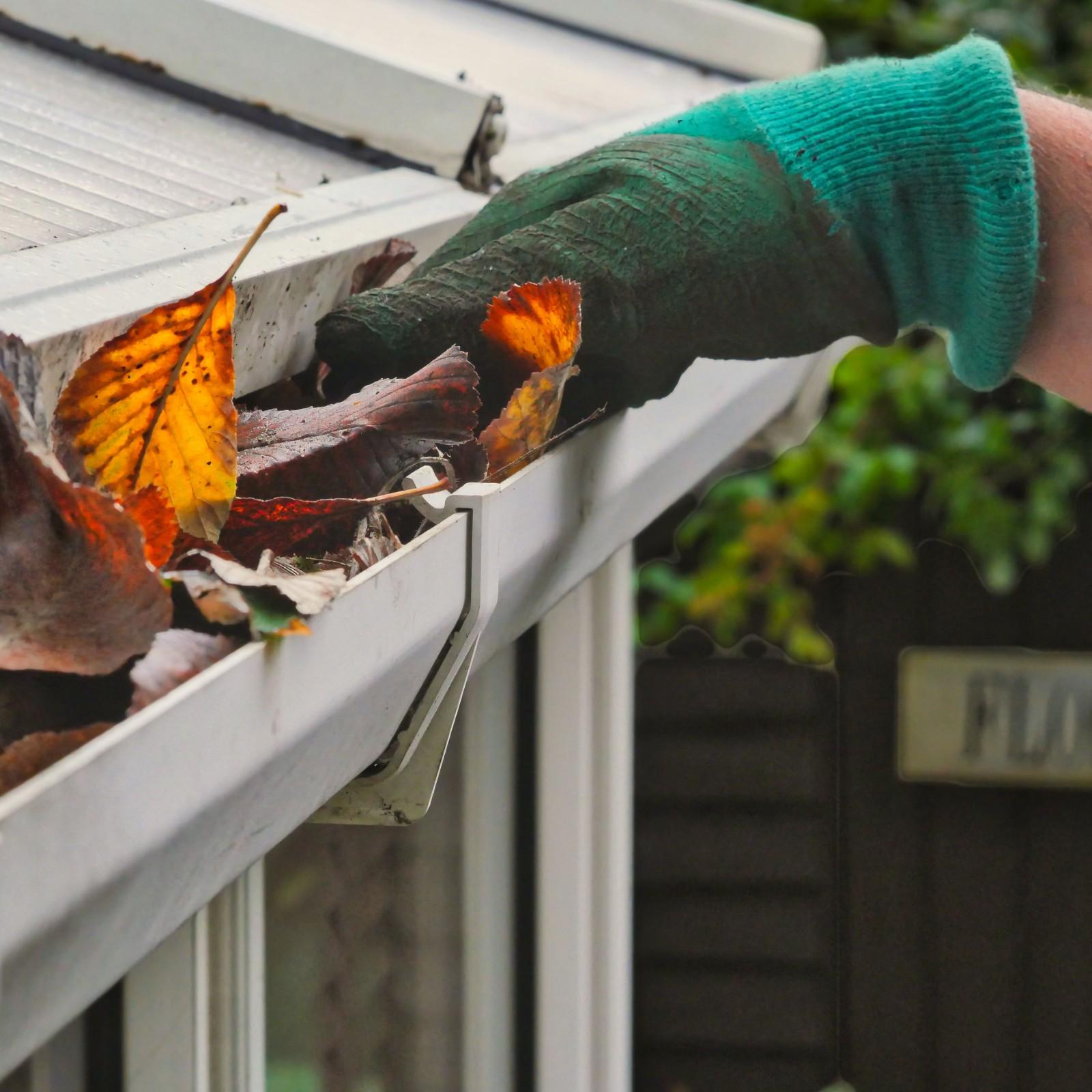 Fall Preparations for Winter