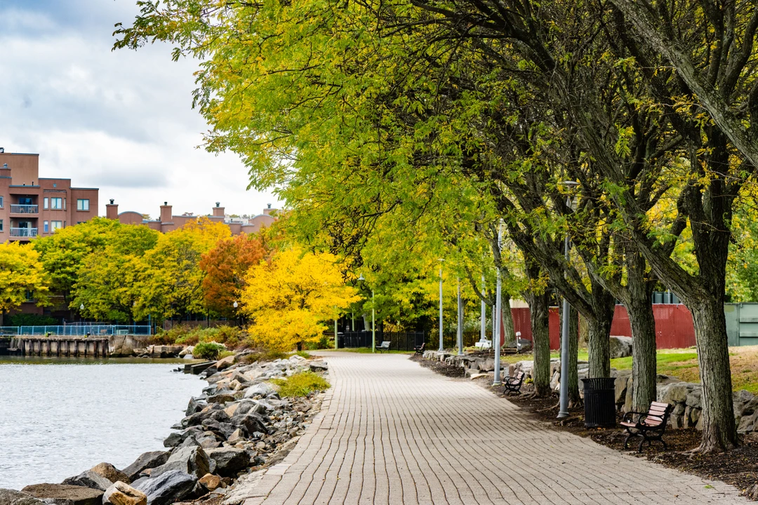 Preparing Your Roof for Winter in Woodland Park