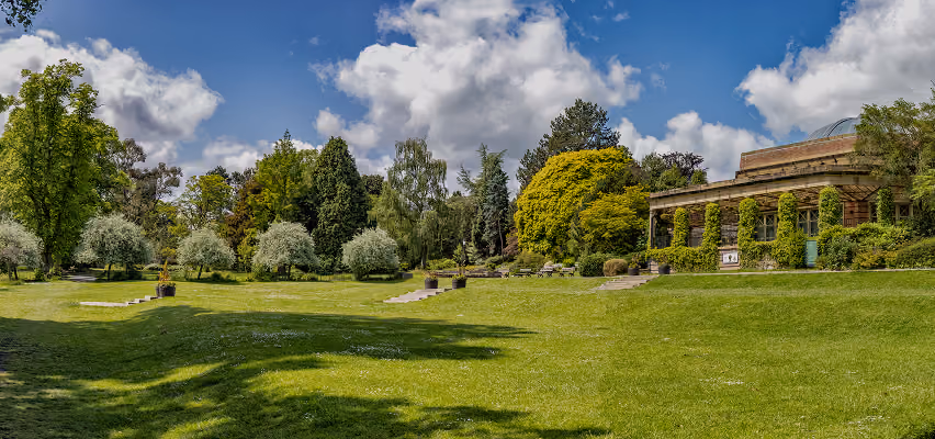 Green lawns and trees in a Harrogate park