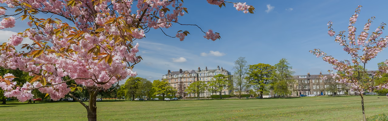 The Stray, Harrogate