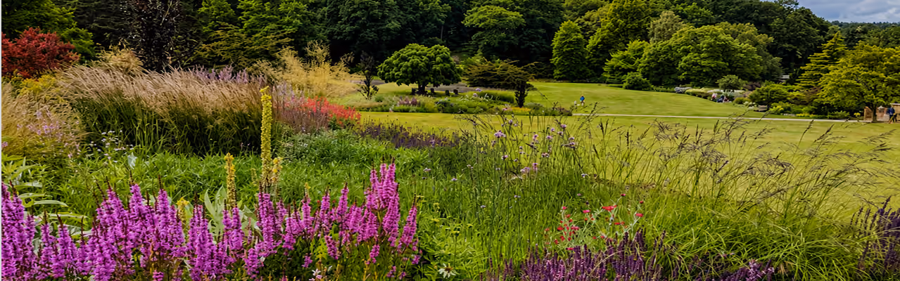 RHS Garden Harlow Carr, Harrogate