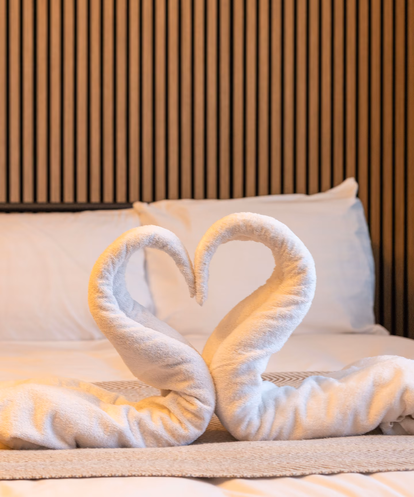 Towel swans on a freshly made bed in a Harrogate apartment