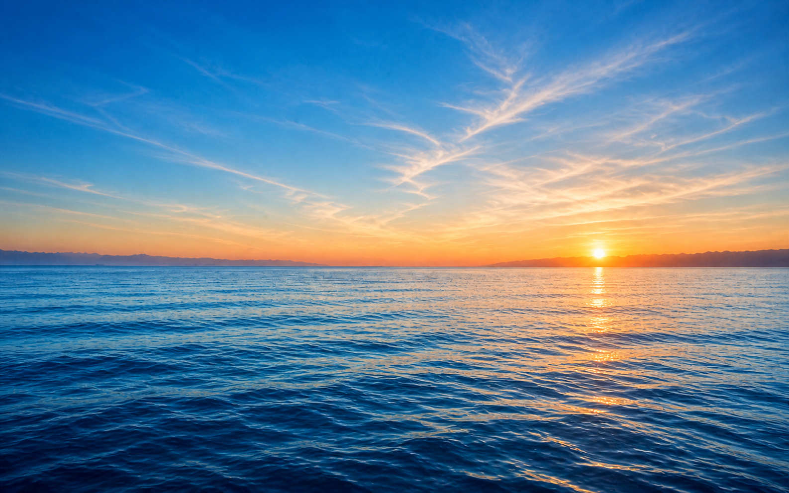 BrownRobinson Background Horizon