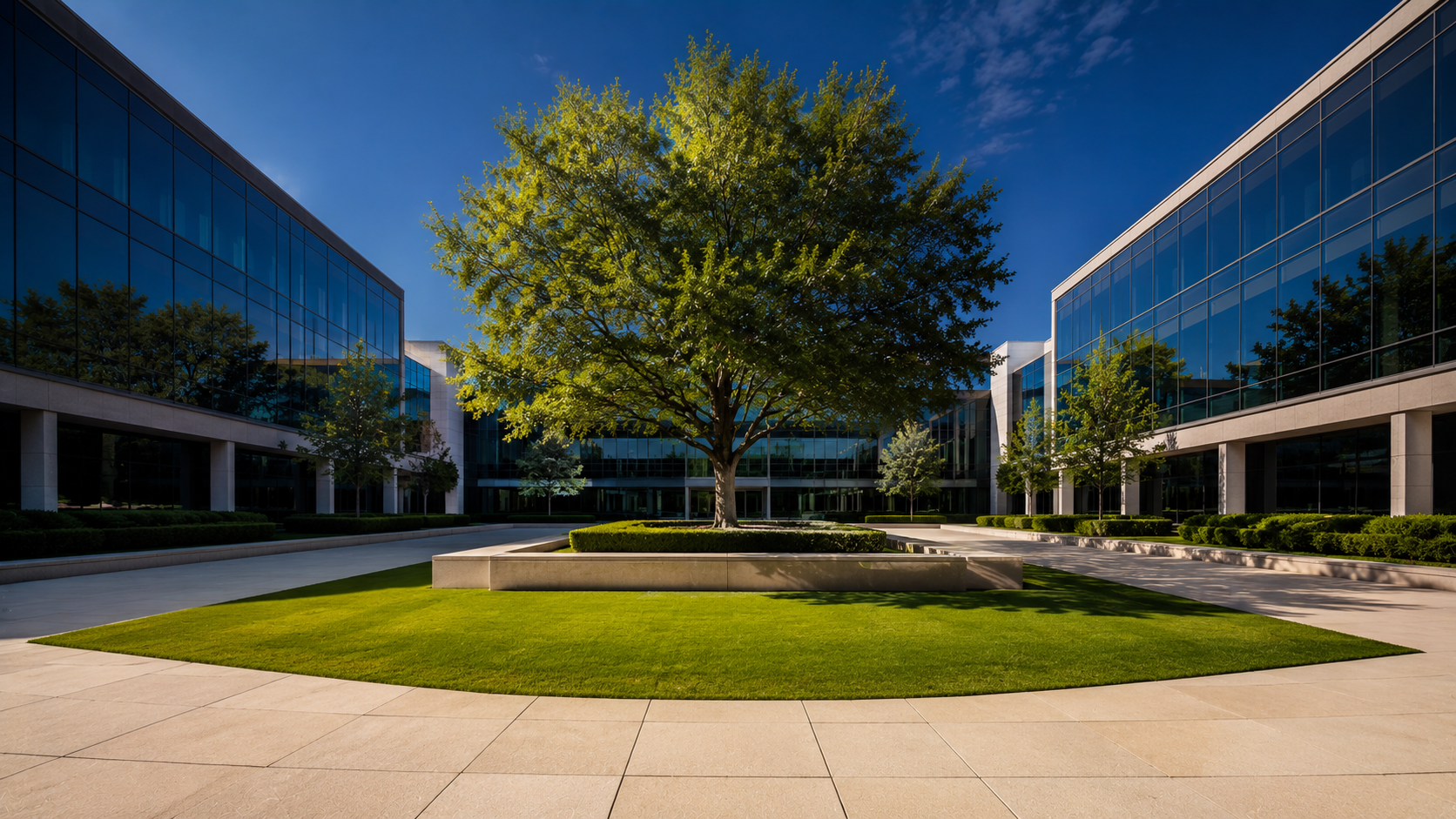 BrownRobinson Tree on Business Campus