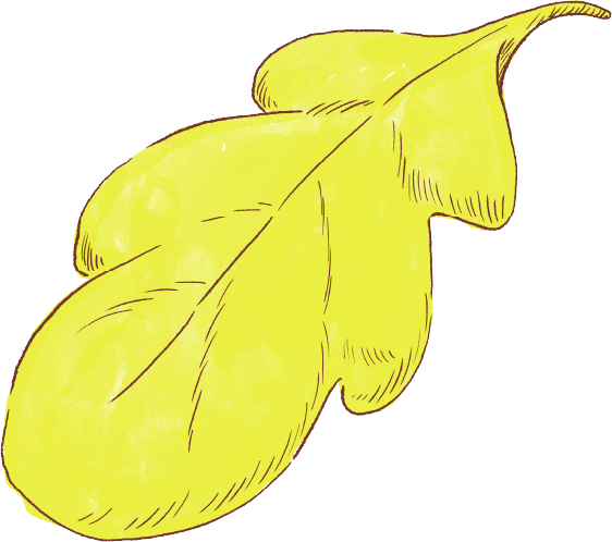 Illustration of a single yellow-green leaf with visible veins and a slightly curved stem.