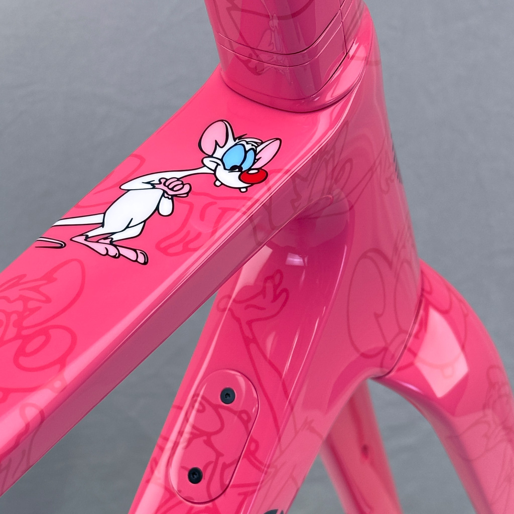 2025 N3 Pinterest Image