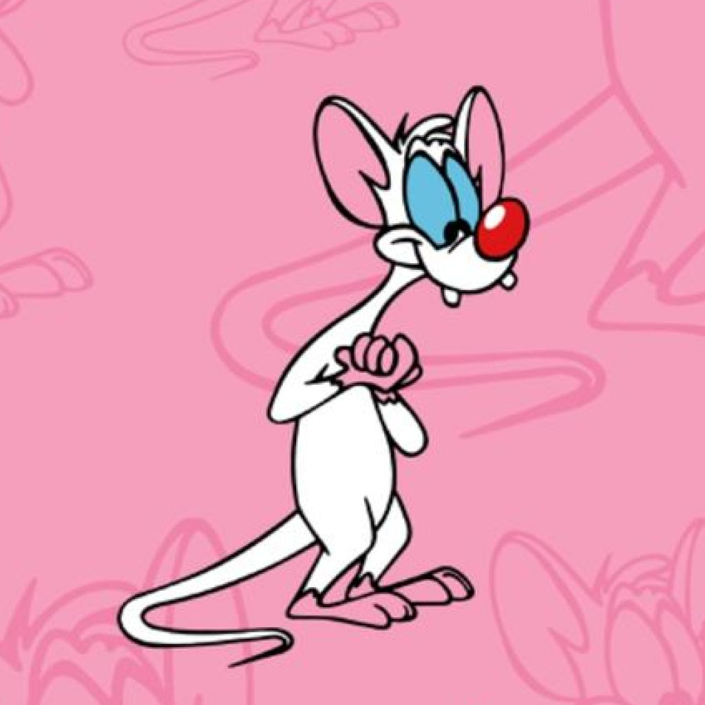 2024 N4 Pinterest Image