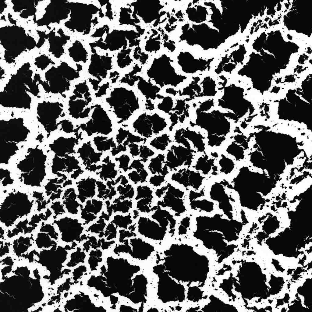 2024 N2 Pinterest Image