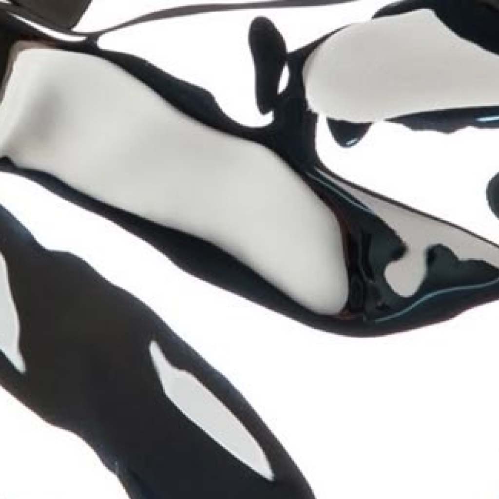 2024 N1 Pinterest Image