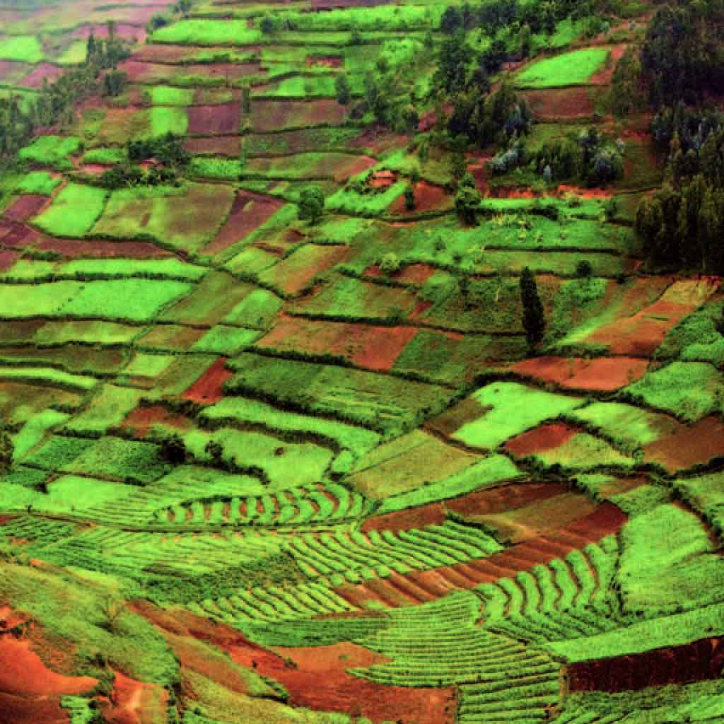 2023 N4 Pinterest Image