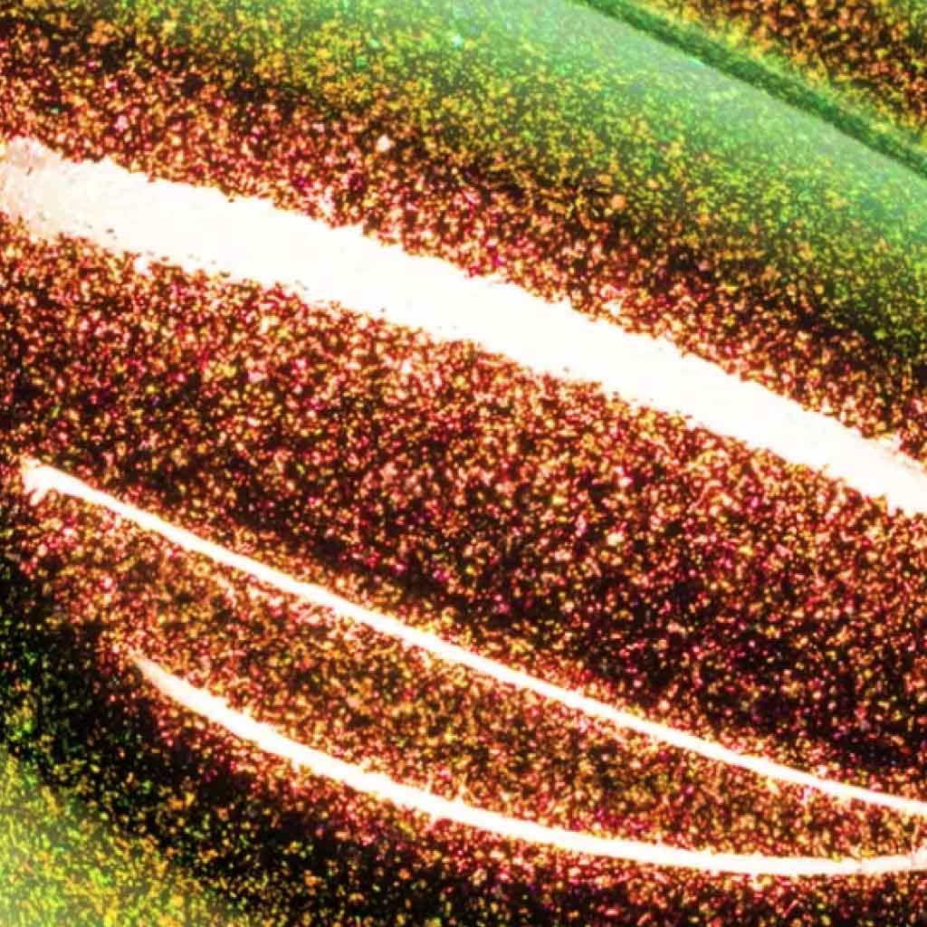 2023 N4 Pinterest Image