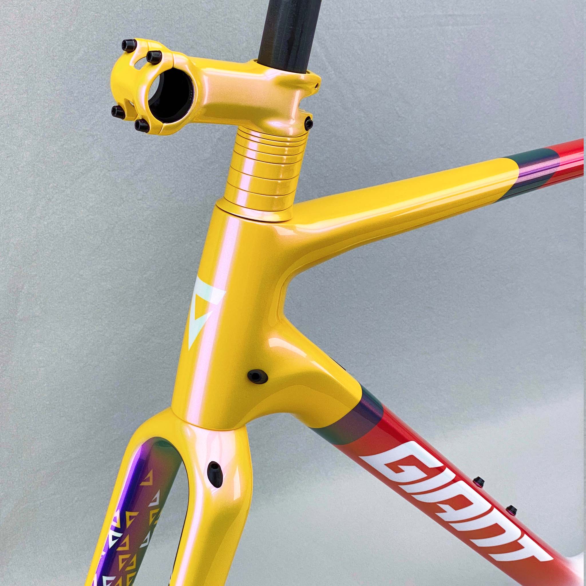 2022 N4 Giant TCX