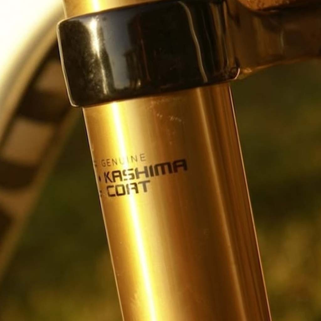 2022 N1 Pinterest Image